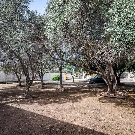 Ninnedda Semesterbostad Sant'Andrea (Sardinia)
